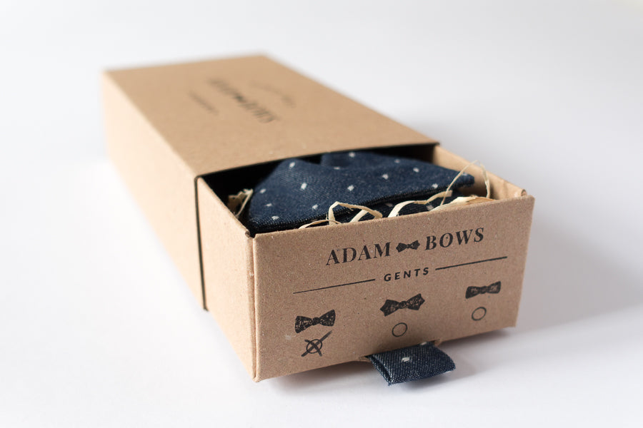 adam-bows-herren-fliege-packaging-blau-gepunktet-winston
